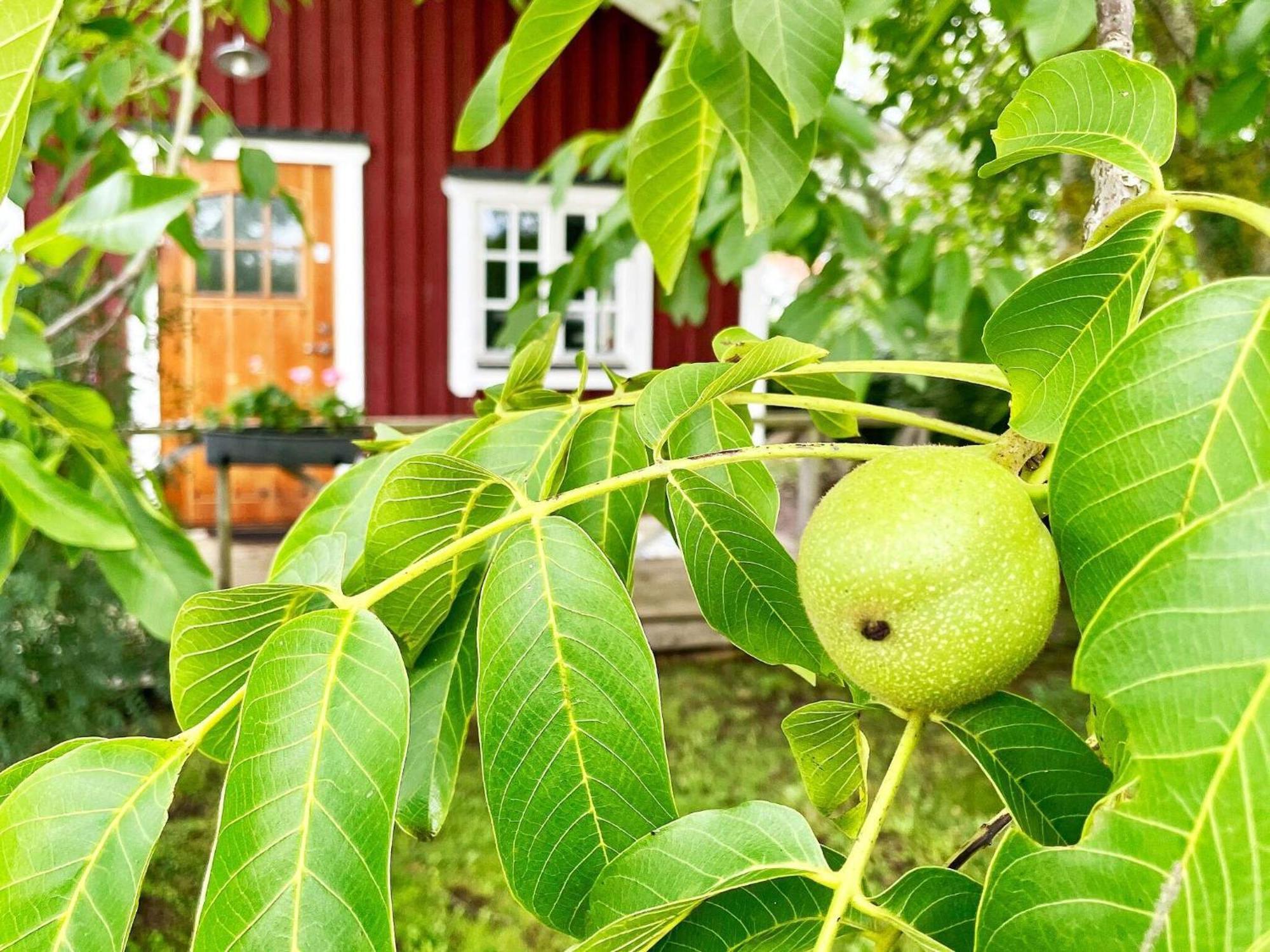 Holiday Home Malaretorpsvaegen Borgholm Exterior photo